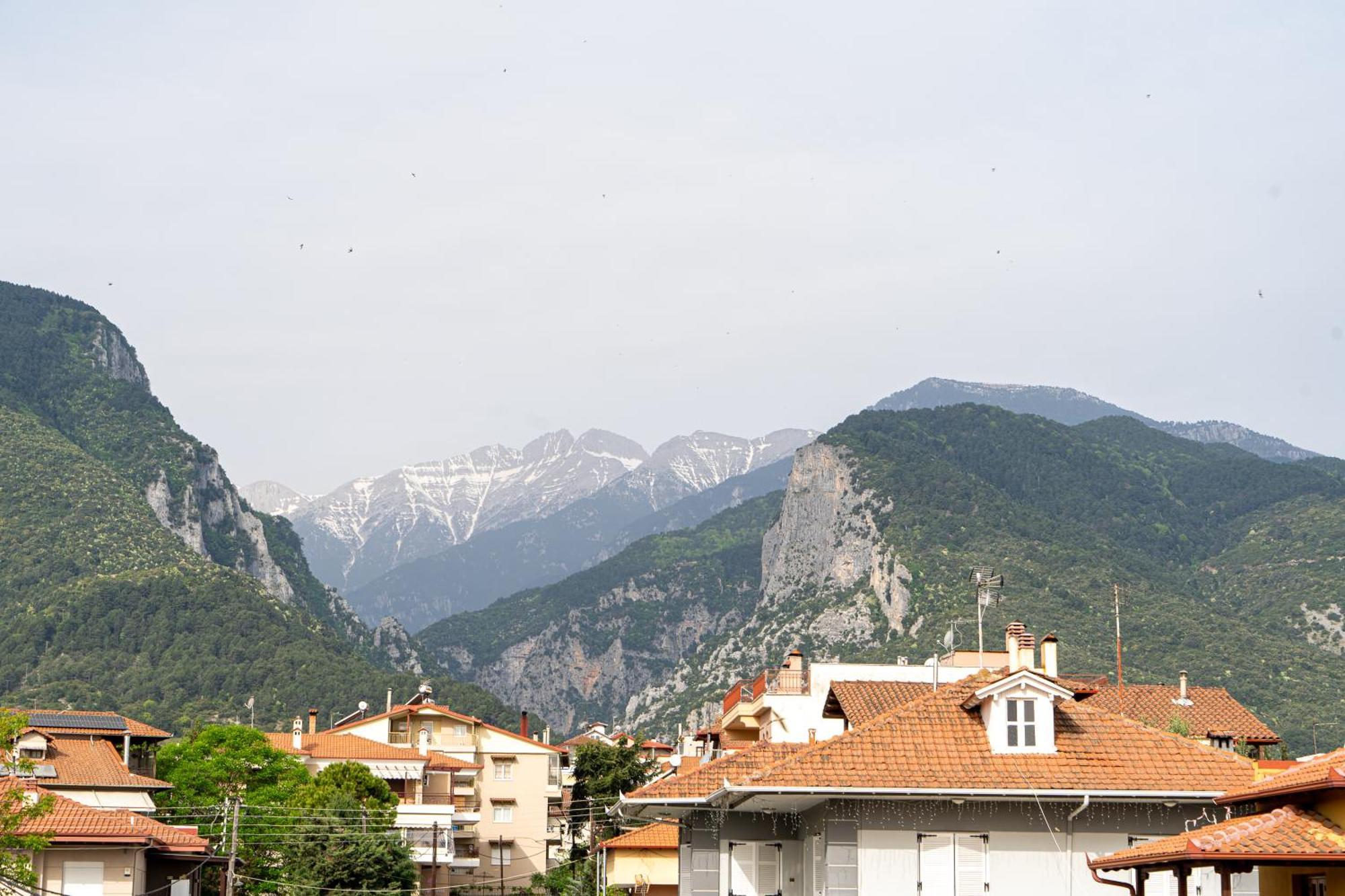 Ophelia - New Modern With Spectacular Olympus View Apartment Litochoro